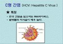 간염과 바이러스(A+레포트) 15페이지