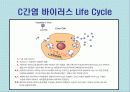 간염과 바이러스(A+레포트) 16페이지