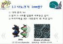 암을 퇴치하는 나노의학(A+레포트)★★★★★ 5페이지