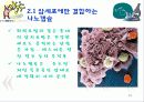 암을 퇴치하는 나노의학(A+레포트)★★★★★ 13페이지