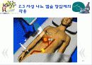 암을 퇴치하는 나노의학(A+레포트)★★★★★ 17페이지