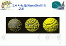 암을 퇴치하는 나노의학(A+레포트)★★★★★ 19페이지
