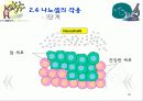 암을 퇴치하는 나노의학(A+레포트)★★★★★ 20페이지