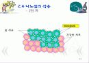 암을 퇴치하는 나노의학(A+레포트)★★★★★ 21페이지
