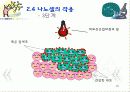 암을 퇴치하는 나노의학(A+레포트)★★★★★ 22페이지