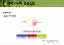 진로소주의 일본진출 (A+레포트) 11페이지