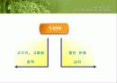 진로소주의 일본진출 (A+레포트) 16페이지