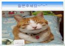 서울시 대중교통개편과 광역행정(A+레포트)★★★★★ 26페이지