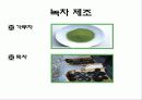 녹차의 성분과 작용(A+레포트) 5페이지