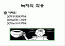 녹차의 성분과 작용(A+레포트) 7페이지