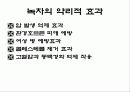녹차의 성분과 작용(A+레포트) 11페이지