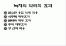 녹차의 성분과 작용(A+레포트) 12페이지