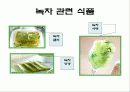 녹차의 성분과 작용(A+레포트) 14페이지