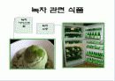 녹차의 성분과 작용(A+레포트) 18페이지