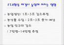 한-미 FTA 채결시 농업에 미치는 영향 및 문제점과 해결방안 (A+레포트)★★★★★ 11페이지