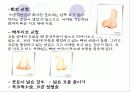 성형수술 실태 및 문제점 (A+레포트)★★★★★ 11페이지