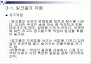 술과 건강- 알코올이 신체에 미치는 영향(A+레포트) 18페이지