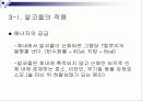 술과 건강- 알코올이 신체에 미치는 영향(A+레포트) 21페이지