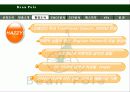 빈폴 마케팅 전략 분석-SWOT,STP,4P 분석(A+레포트) 12페이지