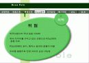 빈폴 마케팅 전략 분석-SWOT,STP,4P 분석(A+레포트) 17페이지