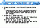 공무원 보수제도의 문제점과 개선방향(A+레포트)★★★★★ 11페이지