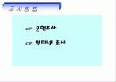 수원 삼성 블루윙즈 축구단의 스폰서십 강화 전략 프로그램 7페이지