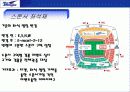 수원 삼성 블루윙즈 축구단의 스폰서십 강화 전략 프로그램 18페이지