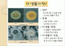 EM(유용한 미생물군)의 정의 및 활용사례 와 발전가능성(A+레포트) 3페이지