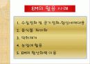 EM(유용한 미생물군)의 정의 및 활용사례 와 발전가능성(A+레포트) 10페이지