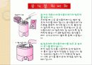 EM(유용한 미생물군)의 정의 및 활용사례 와 발전가능성(A+레포트) 18페이지
