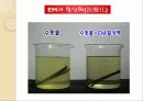 EM(유용한 미생물군)의 정의 및 활용사례 와 발전가능성(A+레포트) 26페이지