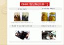 EM(유용한 미생물군)의 정의 및 활용사례 와 발전가능성(A+레포트) 27페이지