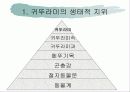 귀뚜라미의 생태와 산업화 4페이지