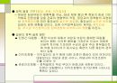 일본의 정치제도 -일본의 헌법체계,국회,일본의 입법과정,의원내각제,정당체제,지방자치제도,의원내각제 VS 대통령제),일본 지방자치제도의 한계 14페이지
