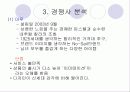 속옷 판매 창업계획서 (A+레포트)★★★★★ 7페이지