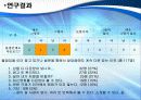 사이버상에서의 범죄와 처벌에 관한 심리 13페이지