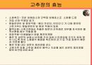 한국의 음식 문화(A+레포트)★★★★★ 15페이지