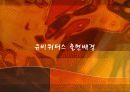유비쿼터스 출현배경및 향후 전망 5페이지