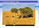 아프리카 문화 조사 3페이지