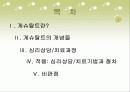 게슈탈트 발표 PPT 2페이지