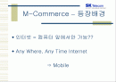 SK Telecom의 무선 모바일 인터넷 전망 2페이지
