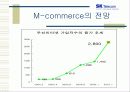 SK Telecom의 무선 모바일 인터넷 전망 32페이지