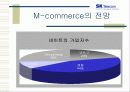 SK Telecom의 무선 모바일 인터넷 전망 34페이지