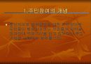 도시정부와 주민과의 관계 - 주민 통제, 주민 참여 8페이지
