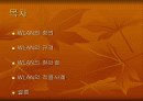 WLAN에 관해 2페이지