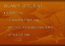 WLAN에 관해 9페이지