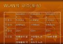 WLAN에 관해 10페이지