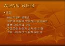 WLAN에 관해 11페이지