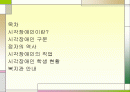 시각장애인 2페이지