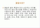 꽃의 전설과 꽃말 3페이지